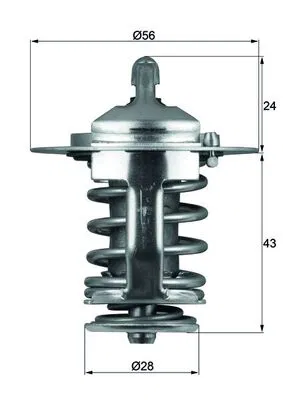 Termostat